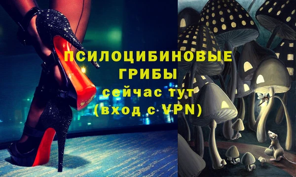 хмурый Армянск