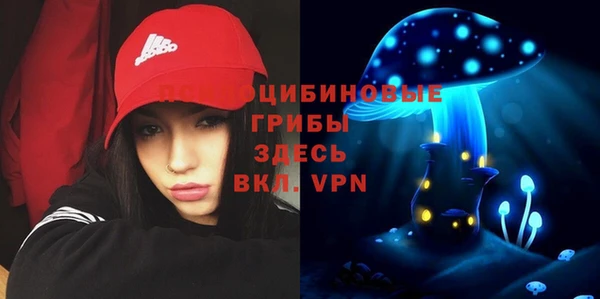 круглые Аркадак