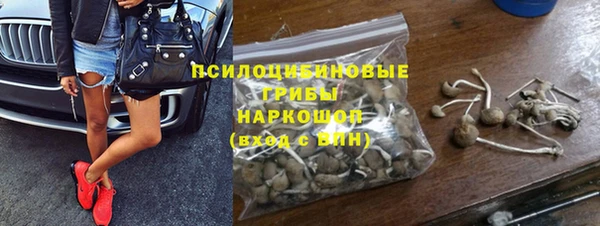 хмурый Армянск